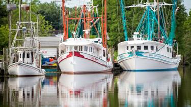 Fishing Boats on the water